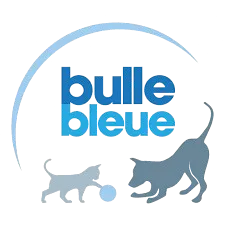 Bulle Bleue
